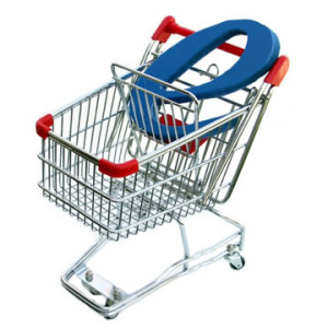 Shopping-Cart-Software